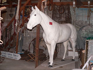 <span class="mw-page-title-main">White Horse Ranch (Naper, Nebraska)</span> United States historic place