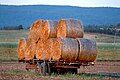 Hay wagon at Woodville