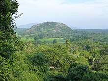 Yapahuwa, one of the Sinhala rock fortresses of this era. King Bhuvenakabahu fled here in 1272 with the tooth relic to escape invaders. It was later abandoned and became a home to Buddhist monks. Yapahuwa (15).jpg