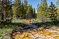 * Nomination Stream from the springs in the Artist Paintpots in the Gibbon Geyser Basin in the Yellowstone National Park, Wyoming, USA --XRay 03:45, 15 August 2022 (UTC) * Promotion  Support Good quality -- Johann Jaritz 04:15, 15 August 2022 (UTC)