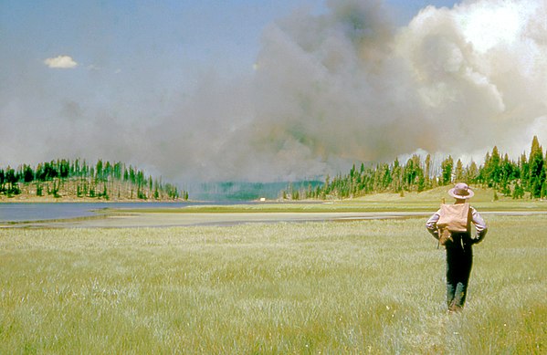 1953: a firefighter hikes to a distant fire