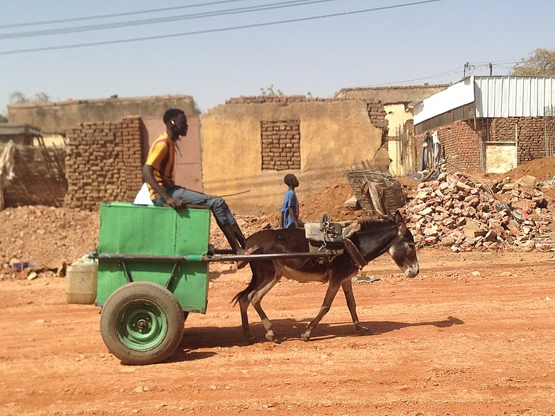 File:Young boy on donkey.jpg