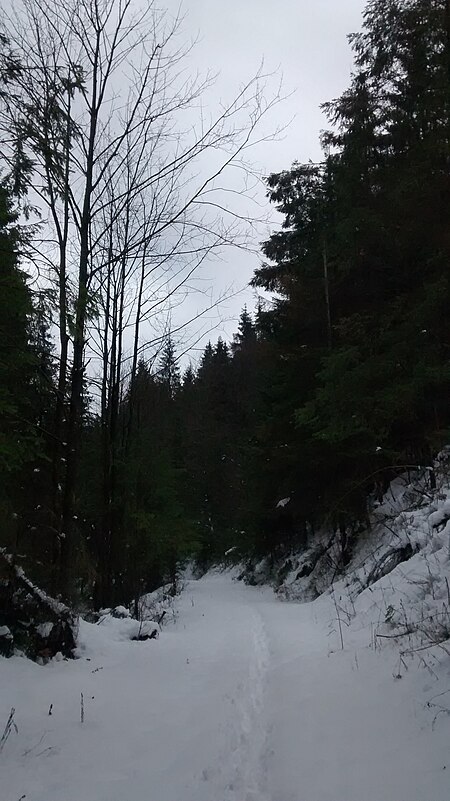 Zlatnica Nature reserve