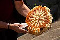 Леб со македонски национален симбол