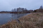 Миниатюра для Файл:Осень. Саперный пруд в Озерковом парке. Вид с юго-запада..jpg