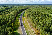 The road passes through a forest near Priozersk.