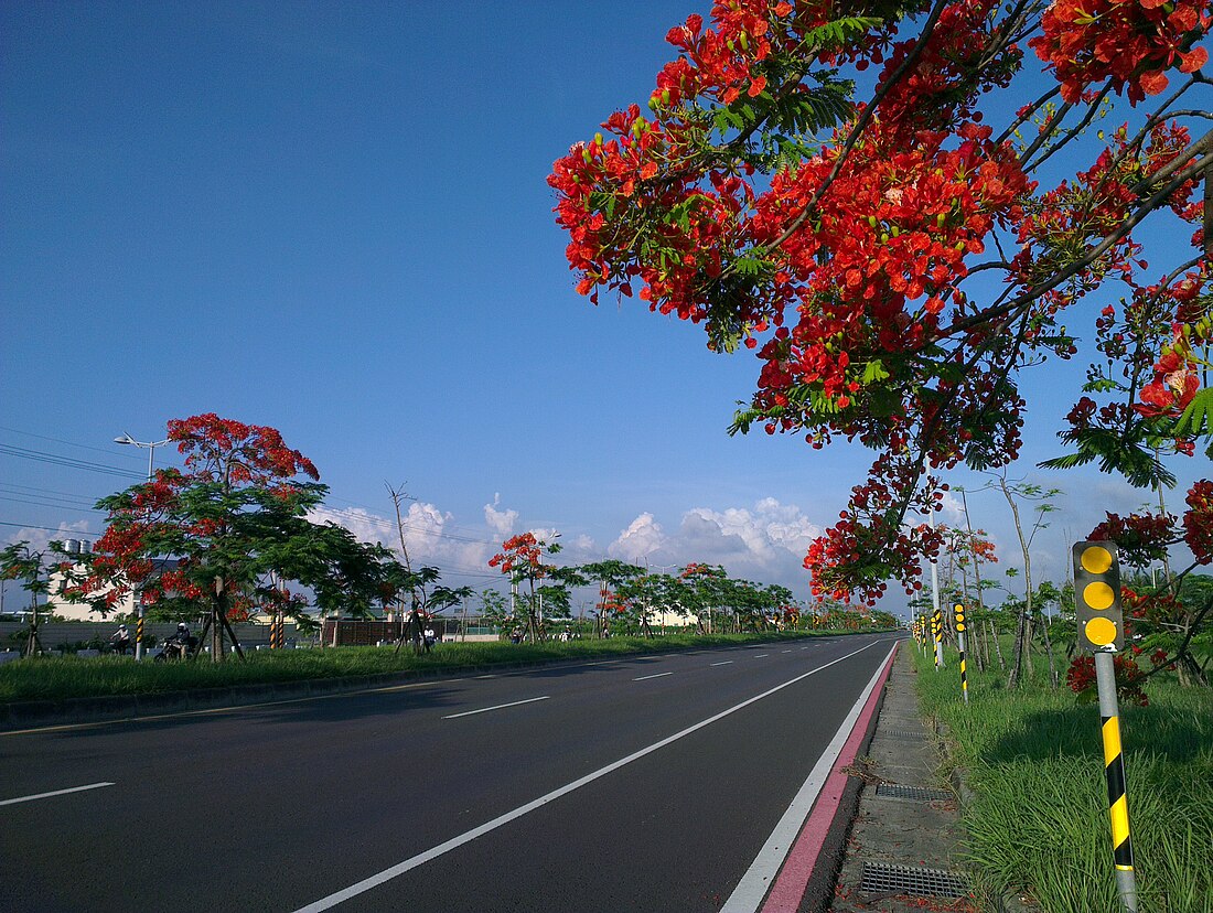 台江大道