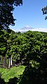 富士山と白糸の滝