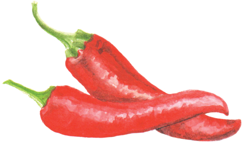 File:辣椒cayennepepper.png