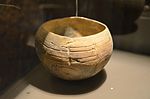 Драбніца для Культура лінейна-стужкавай керамікі