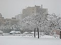 1419 - Neve a Milano - Foto Giovanni Dall'Orto 28-Dec-2005.jpg