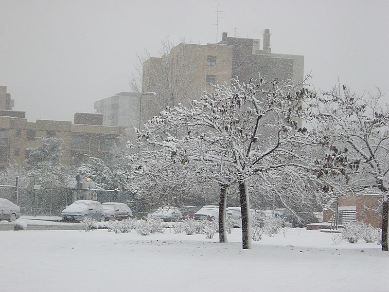 File:1419 - Neve a Milano - Foto Giovanni Dall'Orto 28-Dec-2005.jpg