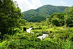 Thumbnail for Hakone Botanical Garden of Wetlands
