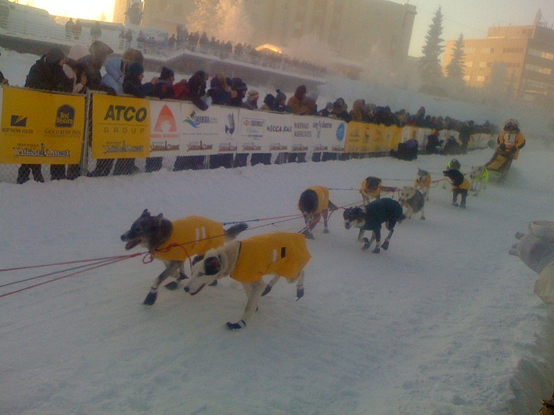 File:2008 Yukon Quest start.jpg