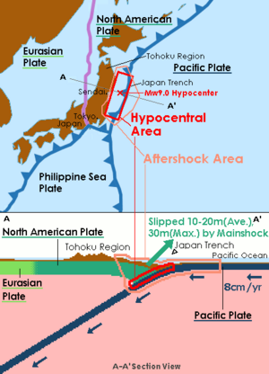 2011 Tōhoku Earthquake And Tsunami