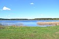 2015 34 Национальный парк Мещёрский - озеро Беленькое.jpg