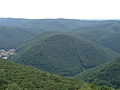 Stenzelberg (Haardt)