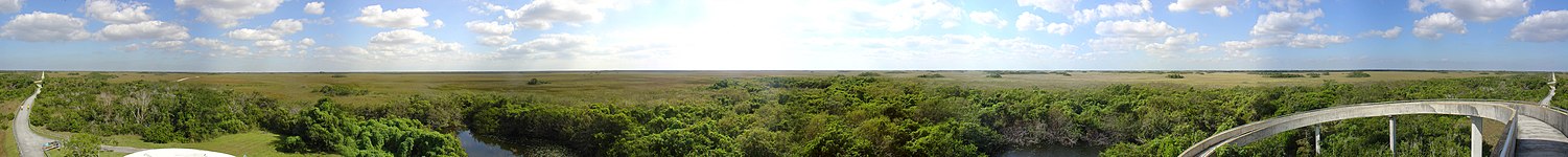360 degree panorama from the observation tower at Shark Valley, Everglades.jpg