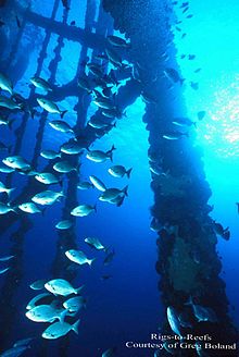 Fish at an oil platform, Gulf of Mexico (US Bureau of Ocean Energy Management) 6-5-2006-9-34-25 BOEM.jpg