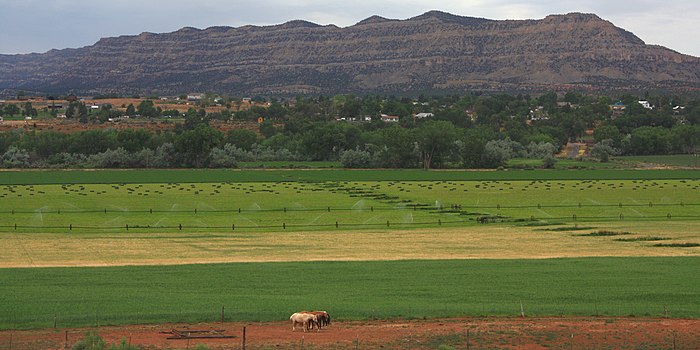 Escalante