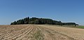 * Nomination Tumulus Lohnergut, Mörschwang, Upper Austria. Approx. position see notes. --Hubertl 07:49, 13 September 2015 (UTC) * Promotion Good quality. --Milseburg 13:51, 14 September 2015 (UTC)