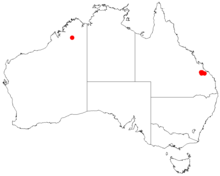 Acacia pedleyiDistMap679.png