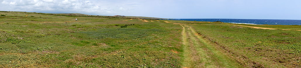 Hiking to the Green Sands Beach from the west across pastureland. The rim of its cinder cone is just left of the photo's center.