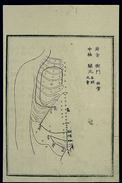 File:Acu-moxa chart; Liver channel in the thorax and abdomen Wellcome L0037985.jpg