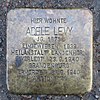 Adele Levy-Heinrich-Barth-Strasse 10 (Hamburg-Rotherbaum). Stolperstein.nnw.jpg