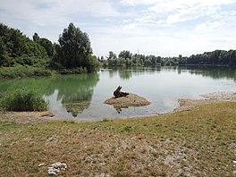 Sebuah danau kecil yang dikelilingi oleh pohon-pohon