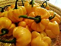 List Of Capsicum Cultivars