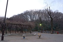 Giardino botanico di Akatsuka