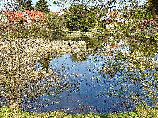 Am Brauteich Güntersberge (Harzgerode)