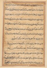 Page from Tales of a Parrot (Tuti-nama): text page