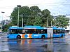 Trolleybus in Arnhem