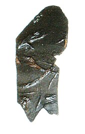 Calco del fossile di Askeptosaurus italicus esaminato da Nopcsa