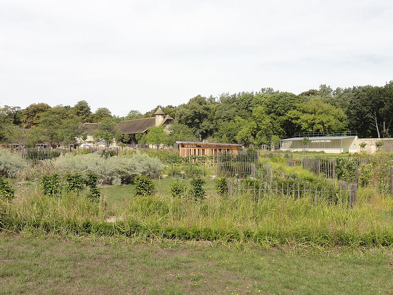 File:Asnières-sur-Oise (95), abbaye de Royaumont, potager, réaménagé en 2014 1.JPG