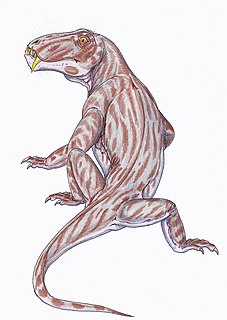 <i>Australosyodon</i> genus of reptiles (fossil)