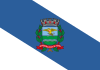 Flag of Ribeirão Preto