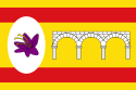 Cortes de Aragón - Bandera