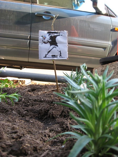 File:Banksys flower thrower in the Flying Pigeon LA Guerilla Garden.jpg