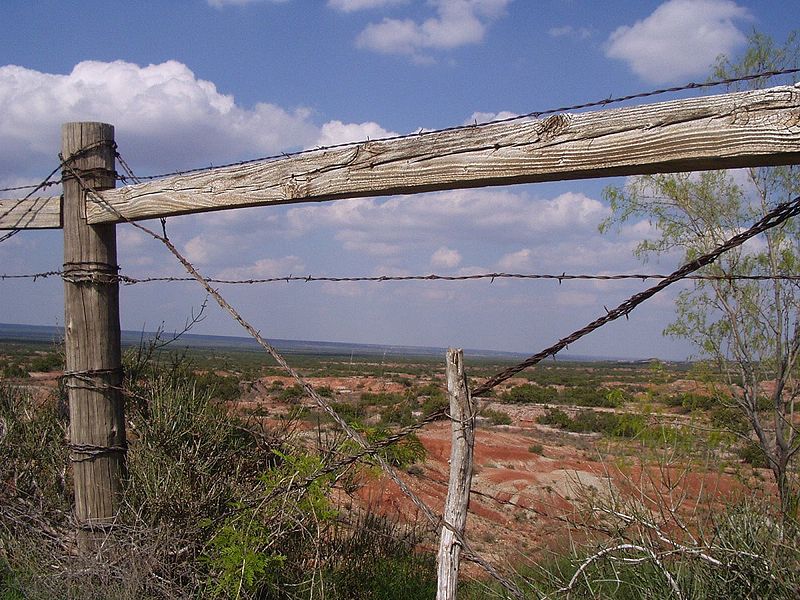 File:Barbedwire3.jpg