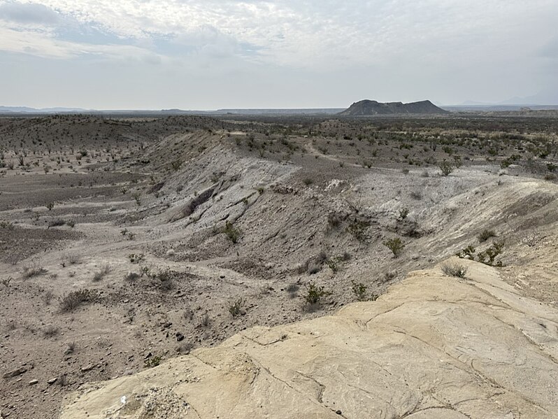 File:Big Bend 2023 - 52775152249.jpg