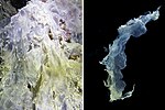 Thumbnail for Sulfur-reducing bacteria