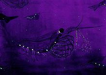 Artist's rendering of Antarctic krill Bioluminescencekils.jpg