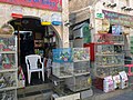 Bird shop in Souq Waqif.jpg