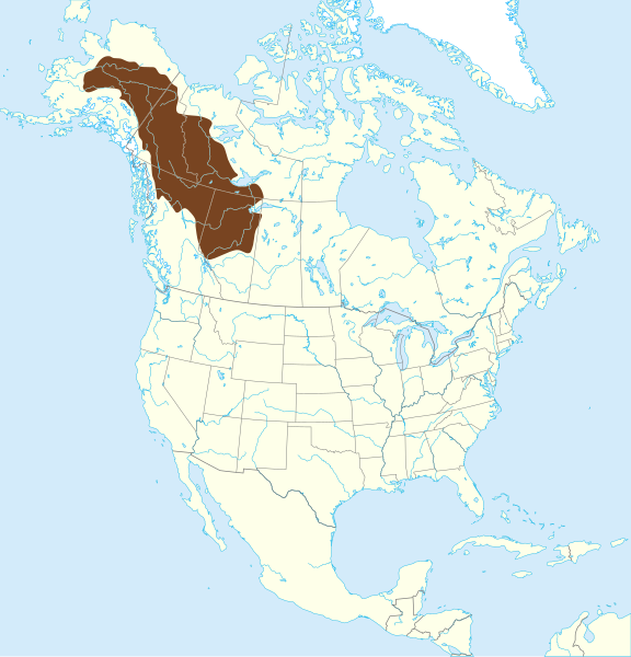 File:Bison bison athabascae historic map.svg