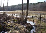 Bjørksættre naturreservater 2012c.jpg