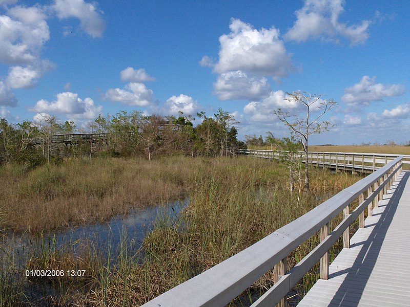 File:Boardwalk at Pa-hay-okee in the Everglades^ - panoramio.jpg