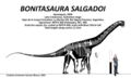 Bonitasaura salgadoi